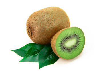 Similar image 21987697