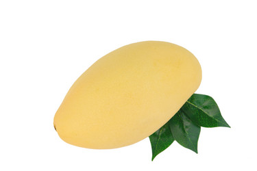 Similar image 21987263