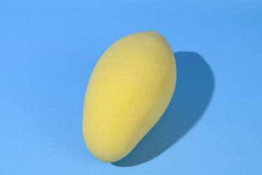 Similar image 21987518