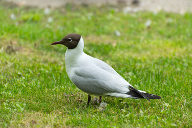 Similar image 21987007