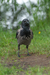 Similar image 21987015