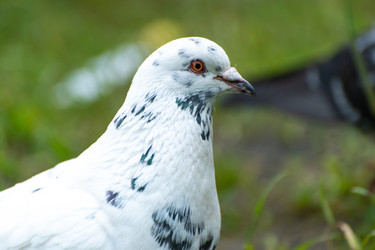 Similar image 21987270