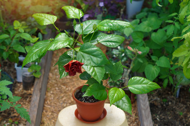 Similar image 21990393