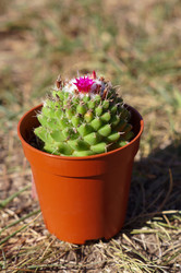 Similar image 21990395