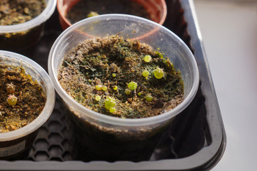 Similar image 21978029