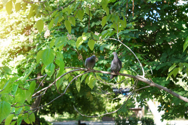 Similar image 21978030