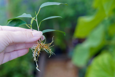 Similar image 21979940