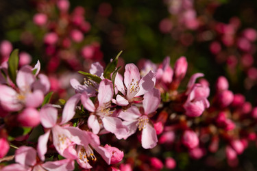 Similar image 21986834