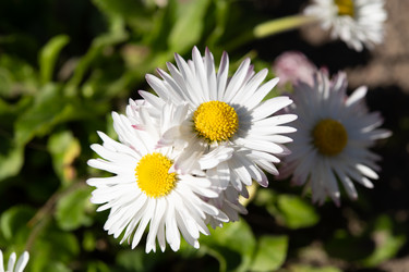 Similar image 21986839