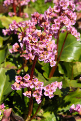 Similar image 21987020