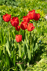 Similar image 21987022