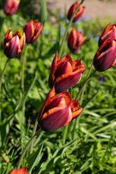 Similar image 21987023