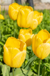 Similar image 21987024