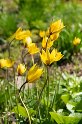 Similar image 21987026