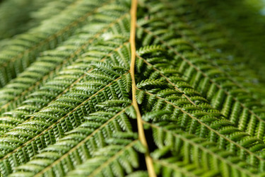 Similar image 21987034