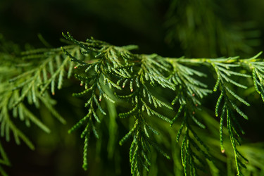 Similar image 21987036