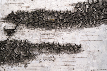 Similar image 21987037