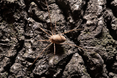 Similar image 21987041