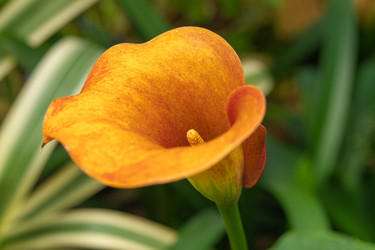 Similar image 21987042