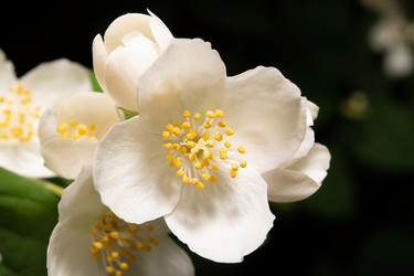 Similar image 21987043