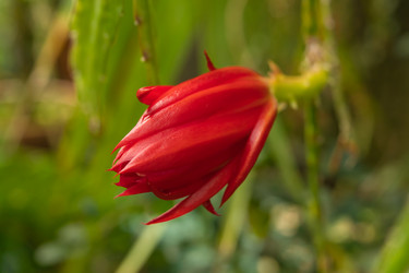 Similar image 21987044