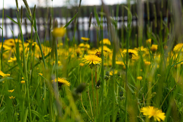 Similar image 21987525