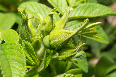 Similar image 21987526