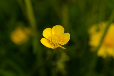 Similar image 21987527