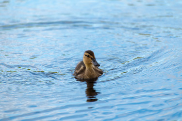 Similar image 21987528