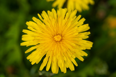 Similar image 21987529