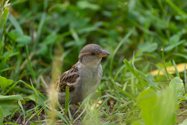 Similar image 21987532