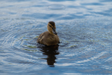 Similar image 21987534