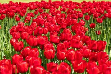 Similar image 21987535