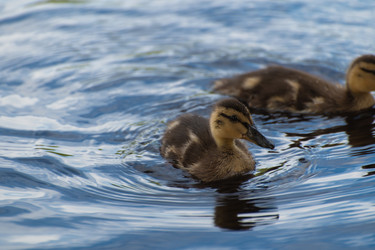 Similar image 21987536