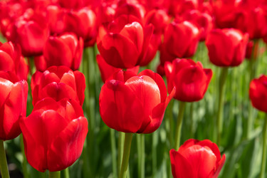 Similar image 21987537