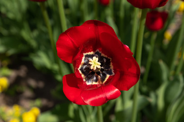 Similar image 21987539