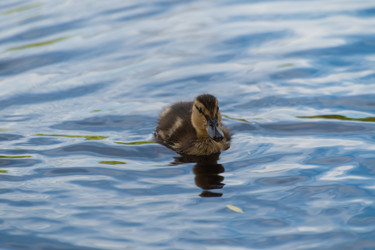 Similar image 21987540