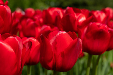 Similar image 21987541