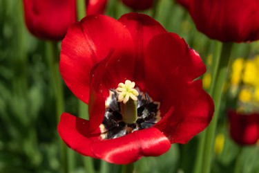 Similar image 21987730