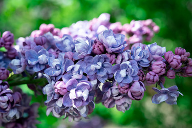 Similar image 21987734