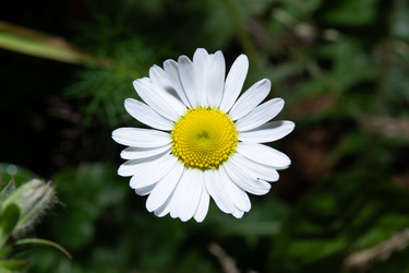 Similar image 21987735