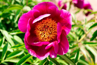 Similar image 21987737