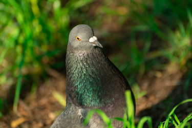 Similar image 21987738