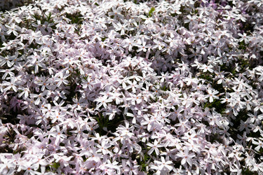 Similar image 21987741