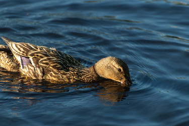 Similar image 21987742