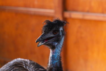 Similar image 21987743