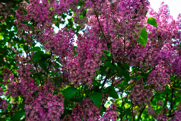 Similar image 21987749