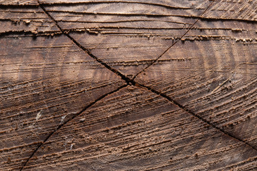 Similar image 21987750