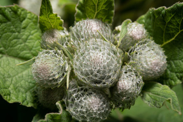 Similar image 21987753