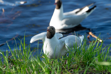 Similar image 21987754